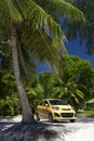 Yellow Car Parked Under Bright Palm Tree