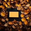 Yellow card surrounded by autumn leaves on a black background stock fotos e imagens de alta calidad en el mercado libre para usar Royalty Free Stock Photo