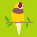 Yellow cardinal vector illustration flat style front Royalty Free Stock Photo