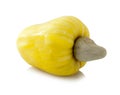Yellow Cashew Nut Apple