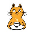 Yellow cat with coffee