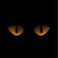 Yellow cat eyes gaze out of the darkness
