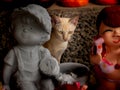 Yellow Cat Sitting with The Dolls Royalty Free Stock Photo