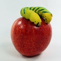 Yellow caterpillar dead-head moth Acherontia atropos on a red apple close-up on white macro, pest, hawk moth