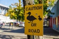 Yellow caution sign warning of ducks on road Royalty Free Stock Photo