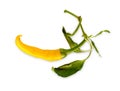 Yellow cayenne chili pepper isolated on white background Royalty Free Stock Photo