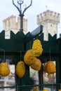 Yellow Cedri in front of the castle of Sirmione