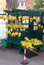 Yellow cedri fruits