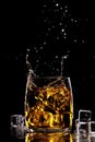 Yellow celebration background liquor reflection cold rocks cocktail rum black splash brandy drink gold scotch ice alcohol whiskey Royalty Free Stock Photo