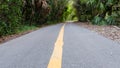 Yellow center line on a rural tarred road Royalty Free Stock Photo