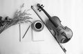 The yellow ceramic coffee cup and pencil put on opened book,beside dried flower and classic violin with bow Royalty Free Stock Photo