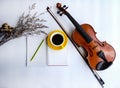 The yellow ceramic coffee cup and pencil put on opened book,beside dried flower and classic violin with bow Royalty Free Stock Photo