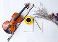 The yellow ceramic coffee cup and pencil put on opened book,at the middle of dried flower and classic violin with bow Royalty Free Stock Photo