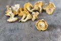 Yellow chanterelle cantharellus cibarius on a rustic wooden ba Royalty Free Stock Photo