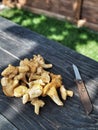 Yellow chanterelle mushrooms with knife on rustic wooden table Royalty Free Stock Photo