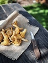 Yellow chanterelle mushrooms with knife on rustic wooden table Royalty Free Stock Photo