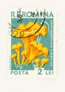 Yellow Chanterelle on Romania Postage Stamp