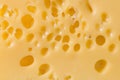 Yellow cheese background