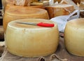 Yellow cheese on sale from milkman into a village fair