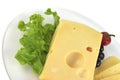 Yellow cheese served on dish Royalty Free Stock Photo