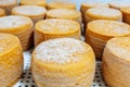 yellow cheese wheels maturing on several months on shelves of a storehouse Royalty Free Stock Photo