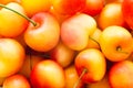 Yellow Rainier Cherries. View From Above Royalty Free Stock Photo