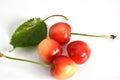 Yellow cherry fruits on a white background. Royalty Free Stock Photo