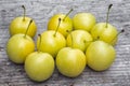 Yellow Cherry plum Prunus cerasifera. Royalty Free Stock Photo