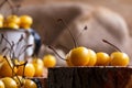 Yellow cherry in a rustic style on a wooden background. Berries of ripe fresh cherries in a cup. Royalty Free Stock Photo