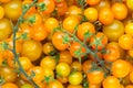 Yellow cherry tomato background