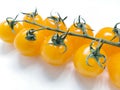 Yellow cherry tomatoes. a small bunch of yellow tomatoes on a single green branc Royalty Free Stock Photo