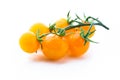 Yellow cherry tomatoes twig on white Royalty Free Stock Photo