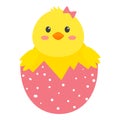 Yellow chichen in pink shell with white dots