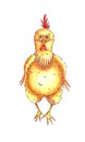 Yellow chick with colored pencils Royalty Free Stock Photo