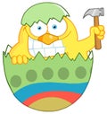 Yellow chick holding a hammer in a green shell Royalty Free Stock Photo