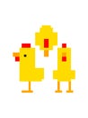 Yellow chicken blueprint 3view drawing pixel Minecraft cube shape