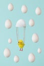 Yellow chicken flying on a parachute from a shell and falling eggs