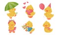 Yellow Chicken Holding Heart and Walking with Umbrella Vector Set