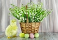 Yellow chicken, painted eggs and lilies of the valley in a wicker basket Royalty Free Stock Photo