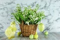 Yellow chicken, painted eggs and lilies of the valley in a wicker basket Royalty Free Stock Photo