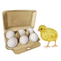 Yellow chicken white egg shell in the box . Farm product. Protein. Happy easter. Hand drawn watercolor illustration Royalty Free Stock Photo