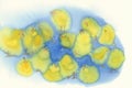 Yellow chickens watercolor blue background