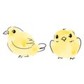 Yellow chickens. Watercolor painting. Handmade watercolor illustration. Royalty Free Stock Photo