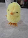 Yellow Chiki Chicken Royalty Free Stock Photo