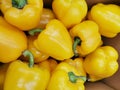 Yellow chili  top view background. Royalty Free Stock Photo