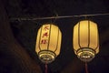 Yellow Chinese lanterns illuminated at night