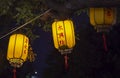 Yellow Chinese lanterns on wire illuminated at night