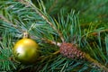 Yellow Christmas ball and pine cone pine branch.