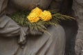Yellow chrysanthemum at the cemetery in Jaromer, Czech Republic. Royalty Free Stock Photo