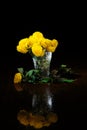 Yellow chrysanthemum composition on the table